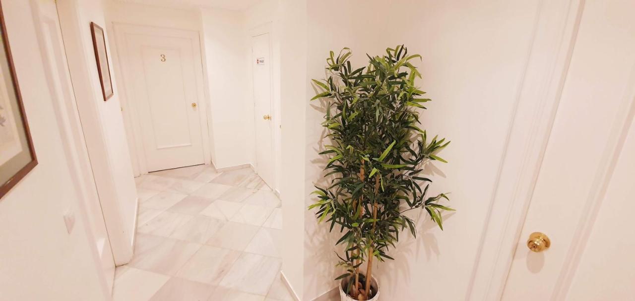 מאלגה Fan Rooms Duquesa מראה חיצוני תמונה